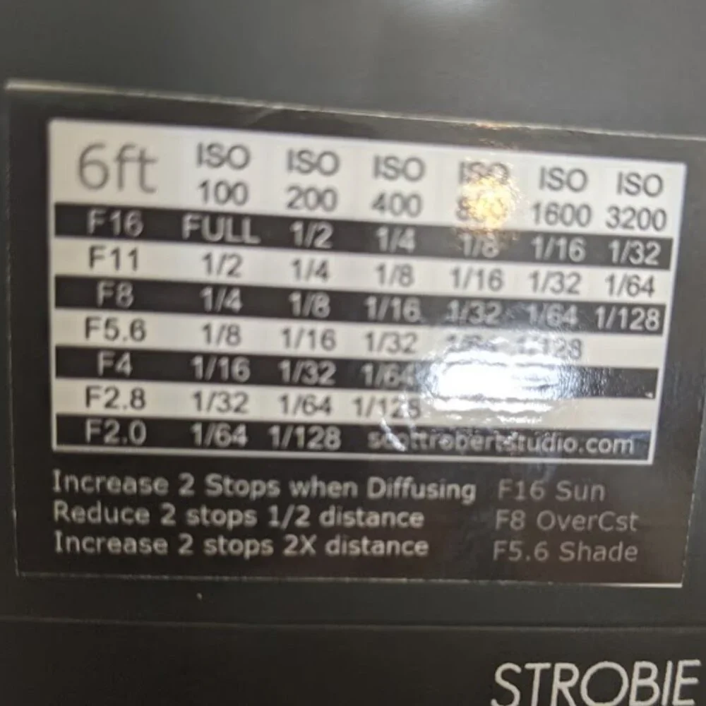 Scott Robert Strobie 330 Flash